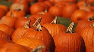 Close-Up Pumpkin and Produce Fundraiser